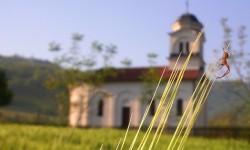 Pravoslavie