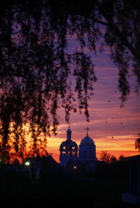 svidetelstva-o-pochitanii-matushki-alipii-zarubezhom