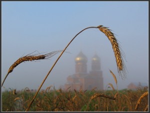 sxiigumen-ioann-valaamskij-starec-kak-ustroit-duxovnuyu-zhizn